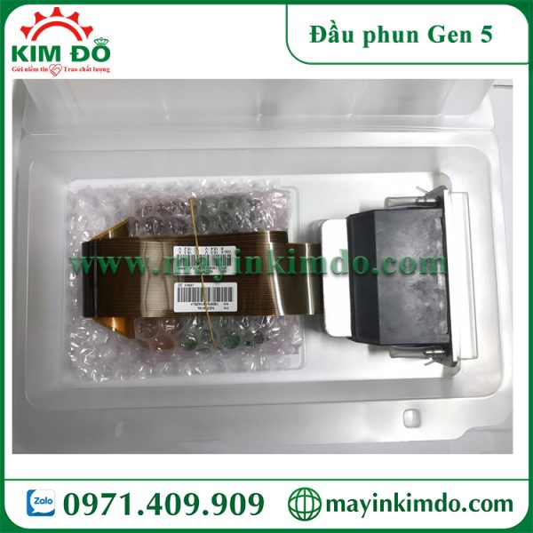 Đầu phun Ricoh Gen5